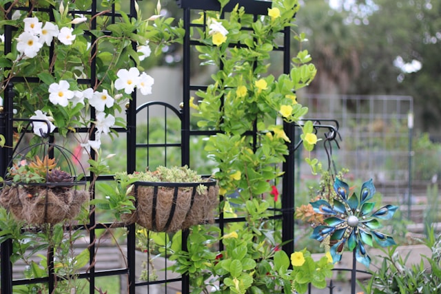 Incorporating Trellises to Save Ground Space in Gardens